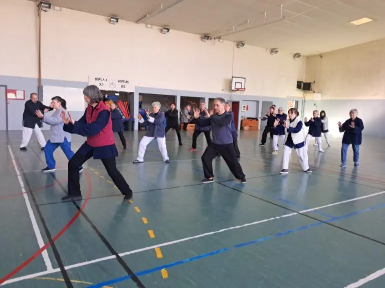 Taichi Morlaix premier club association du finistère carantec plougasnou roscoff plourin saint-martin des champs
